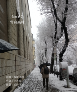 Alternative view of NO.7 Snowy Forest 雪白山林