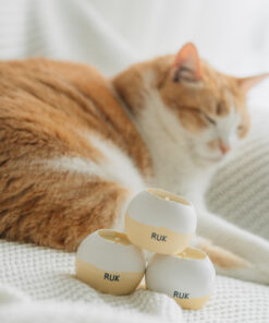 寵物友善系列NO.10  Chamomile Infusion 洋甘菊花茶 -黃白雙色