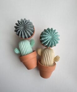 「盆栽擴香石系列-大仙人掌」圓球型仙人掌/直柱型仙人掌